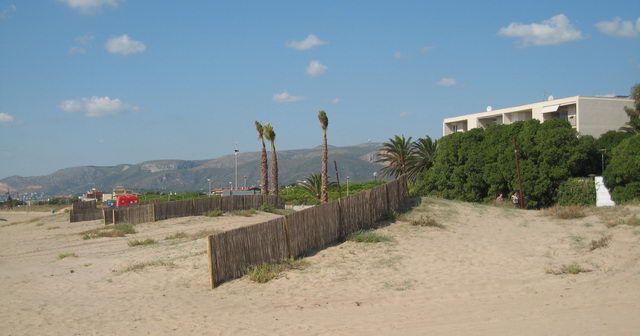 Barreres de canya que han de fixar les dunes del nou tram del passeig mar&iacute;tim de Gav&agrave; Mar (27 de Setembre de 2008)